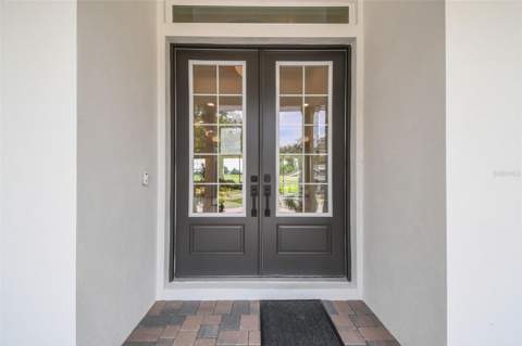 6470 Summit View Drive, Brooksville FL - photo 7 of 99