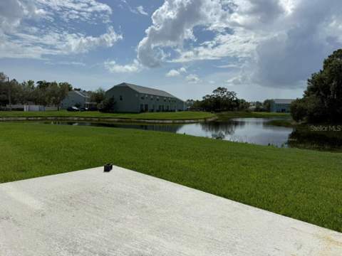 11537 Declaration Drive, Tampa FL - photo 24 of 24