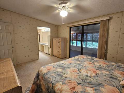 101 Dolphin Drive, Oldsmar FL - photo 20 of 34