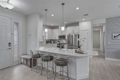 4248 Cairoli Court, Wesley Chapel FL - photo 11 of 98
