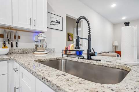 40688 E 9th Avenue, Umatilla FL - photo 16 of 43