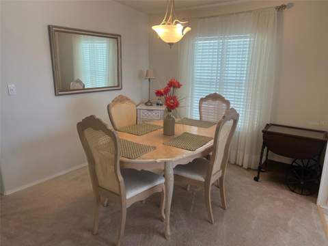 12 Thatch Palm Street, Largo FL - photo 10 of 29