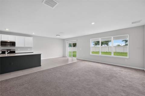 6708 Devlin Lane, Wesley Chapel FL - photo 13 of 66