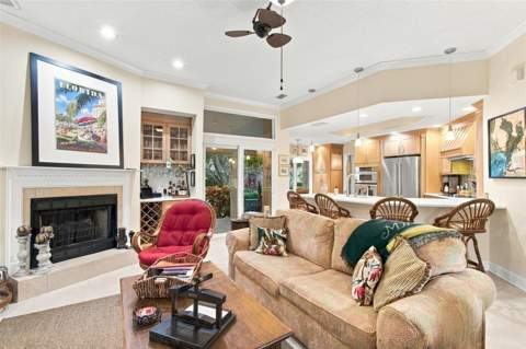 435 Date Palm Court, St Petersburg FL - photo 13 of 52