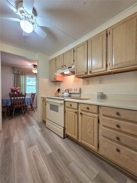 37015 Karen Avenue, Zephyrhills FL - photo 10 of 60