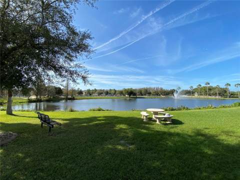 10503 Palm Cove Avenue, Tampa FL - photo 16 of 94