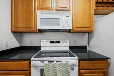 18525 Bridle Club Drive #18525, Tampa FL - photo 14 of 38