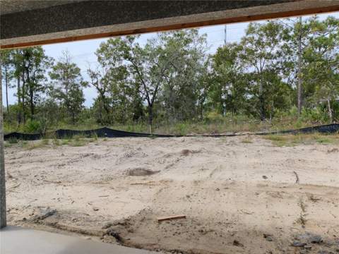 16299 Penn State Road, Weeki Wachee FL - photo 10 of 11
