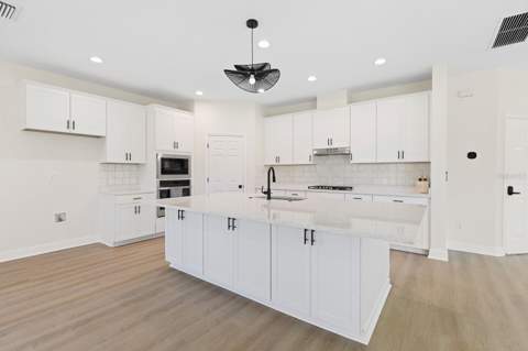 12633 Shetland Walk Drive, Lithia FL - photo 14 of 40