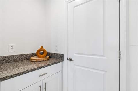 10811 Fowlers Bluff Court, Tampa FL - photo 19 of 44