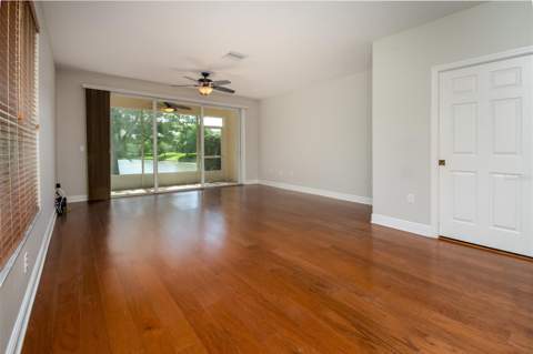 403 Harbor Ridge Drive, Palm Harbor FL - photo 8 of 35
