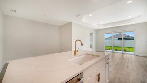 4408 Spoon Blade Drive, Parrish FL - photo 17 of 41
