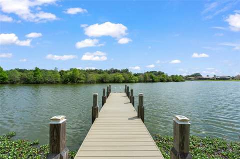 3790 Eagle Isle Circle, Kissimmee FL - photo 7 of 82