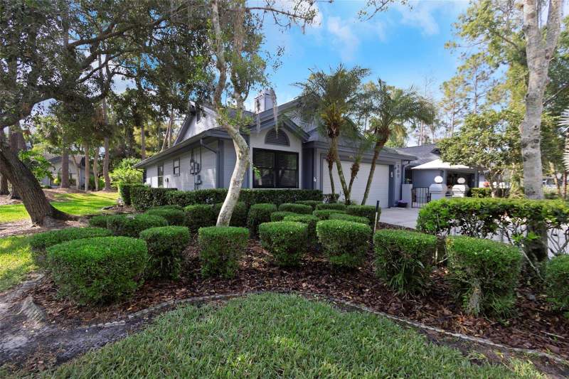 East Lake Woodlands Pinewinds