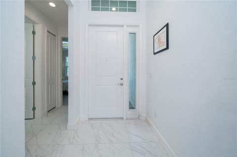 3290 Great Banyan Way, Wesley Chapel FL - photo 6 of 51