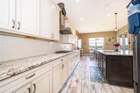 3546 Mediterra Drive, Clermont FL - photo 8 of 46