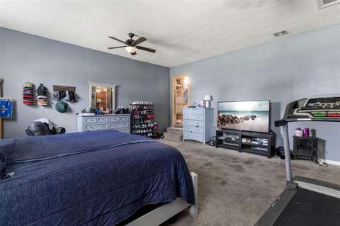 14407 Lake Junietta Drive, Tavares FL - photo 18 of 38