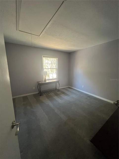 13709 Juniper Blossom Drive #0, Tampa FL - photo 19 of 30