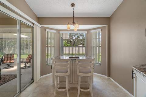 1424 Pinewood Hills Court, Spring Hill FL - photo 19 of 85