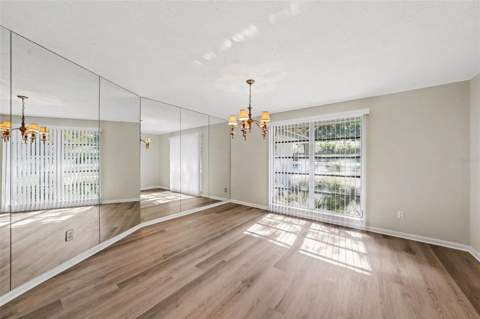 209 15th Street, Palm Harbor FL - photo 6 of 6