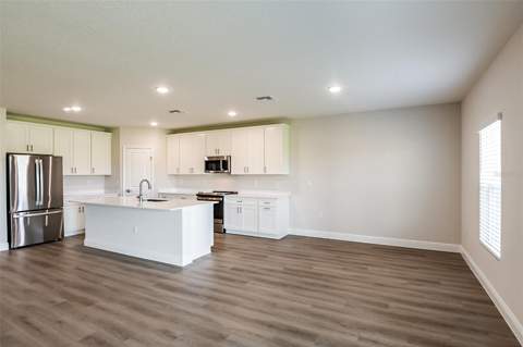 31717 Bienville Lane, Wesley Chapel FL - photo 9 of 31