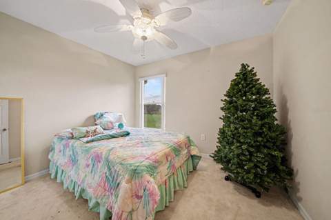 13354 Biscayne Drive, Grand Island FL - photo 17 of 26