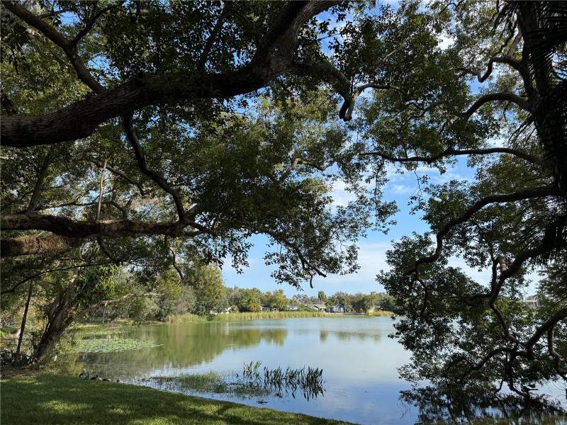 3 bedroom Single Family Residence at 2943 Eagle Lake Drive, Hunters Creek Tr 145 Ph 03, Orlando — photo 3