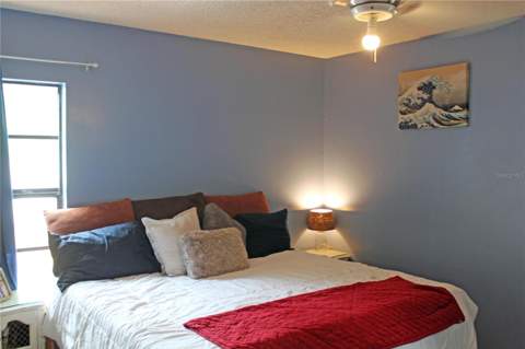 1335 15th Street, Palm Harbor FL - photo 20 of 36