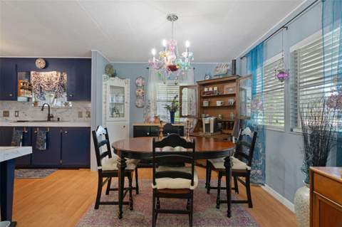 14621 Brookridge Boulevard, Brooksville FL - photo 6 of 41
