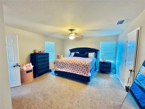 4411 Banyan Tree Place, Riverview FL - photo 12 of 27