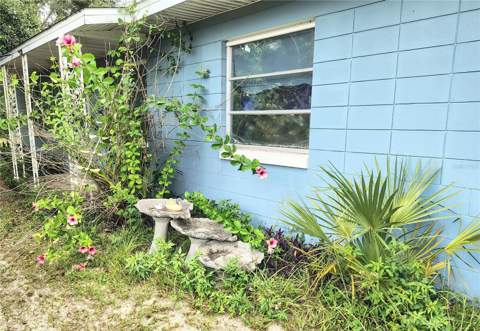27401 Main Avenue, Okahumpka FL - photo 13 of 37