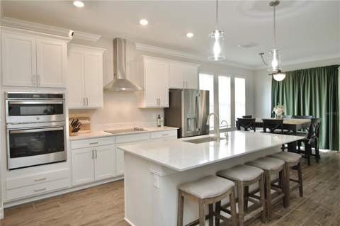 9723 Coneflower Court, Land O Lakes FL - photo 12 of 32