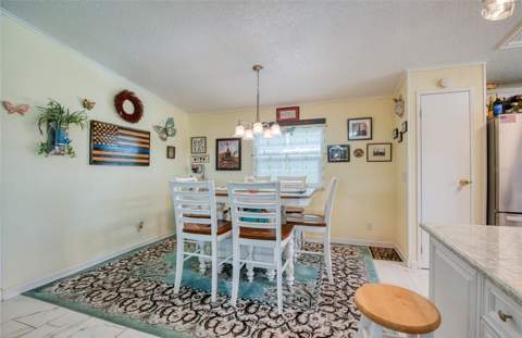 214 Dolphin Drive, Oldsmar FL - photo 11 of 46