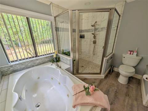 4023 N Ringwood Circle, Hernando FL - photo 24 of 43