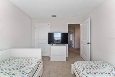 16931 Reseda Alley, Winter Garden FL - photo 17 of 34