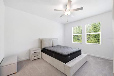 9776 Minnow Ray Drive, Land O Lakes FL - photo 18 of 44
