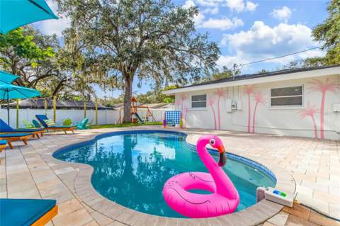 1749 Magnolia Drive, Clearwater FL - photo 6 of 60