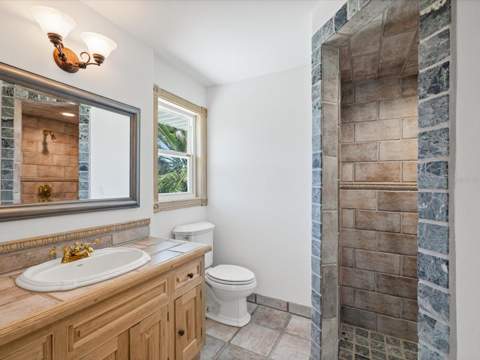 1647 Sea Breeze Drive, Tarpon Springs FL - photo 22 of 79