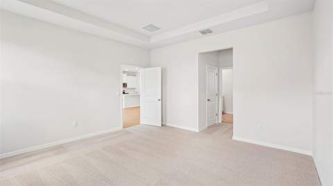 4606 Coastal Storm Glen, Palmetto FL - photo 15 of 41