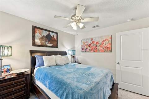 588 Olive Conch Street, Ruskin FL - photo 20 of 31