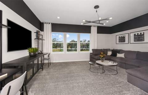 10057 Trellis Vine Way, Parrish FL - photo 12 of 30