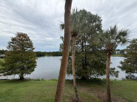 1037 S Hiawassee Road #2824, Orlando FL - photo 13 of 24