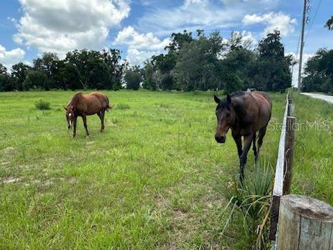 14854 NE Jacksonville Road, Citra FL - photo 6 of 6