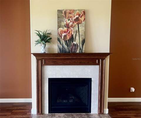 8860 Bridgeport Bay Circle, Mount Dora FL - photo 10 of 50