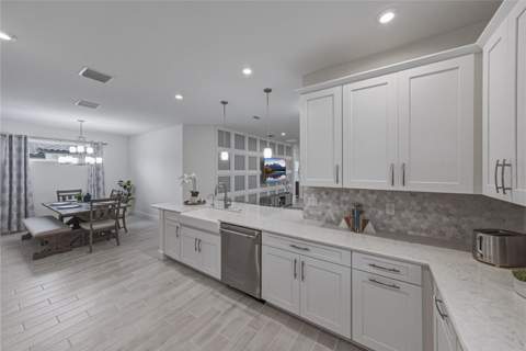4248 Cairoli Court, Wesley Chapel FL - photo 16 of 98