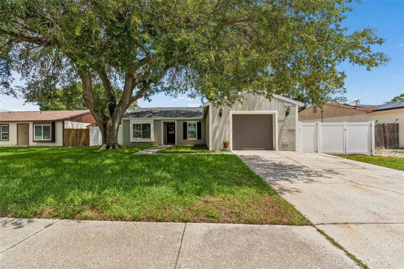 Carrollwood Meadows
