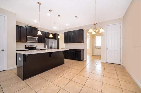 11963 Vermillion Avenue, Windermere FL - photo 22 of 35
