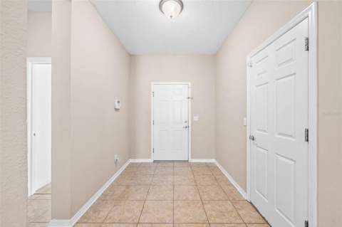 910 Fern Leaf Drive, Ruskin FL - photo 6 of 37