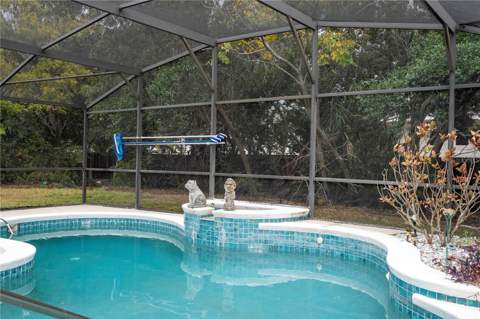 6013 Crystal View Drive, Orlando FL - photo 20 of 81