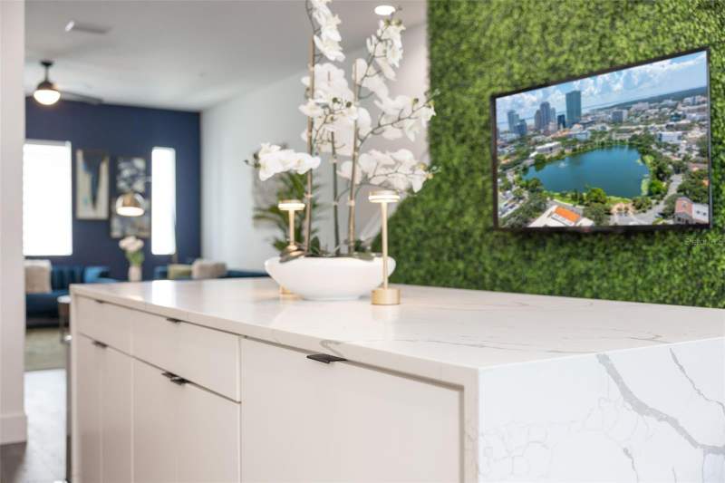 2 bedroom Townhouse at 865 S 6 AVENUE #17, INNOVATION TOWNHOMES, ST PETERSBURG — photo 3